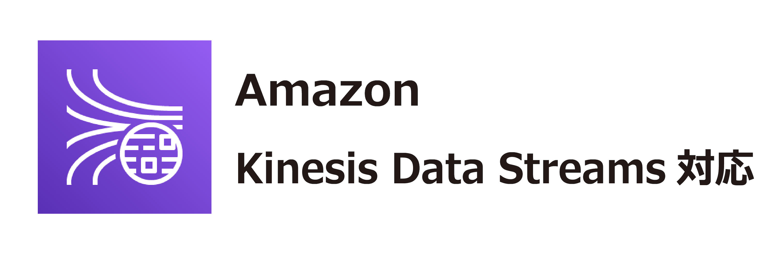 Amazon Kinesis Data Streams対応